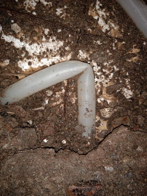 高州堵点精准查找